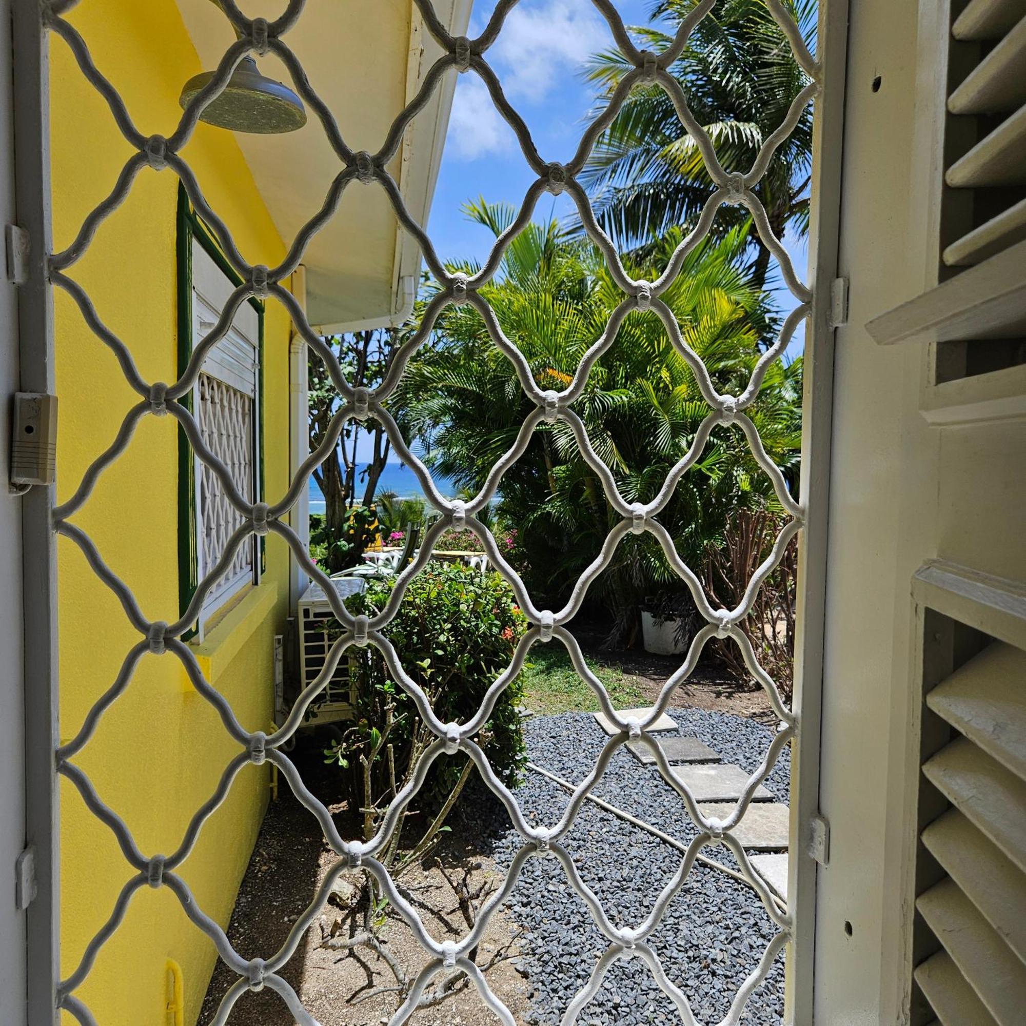Villa Guadeloupe Saint Francois Acces Mer Piscine Iguana Bay - Villa Zagadi Exteriör bild