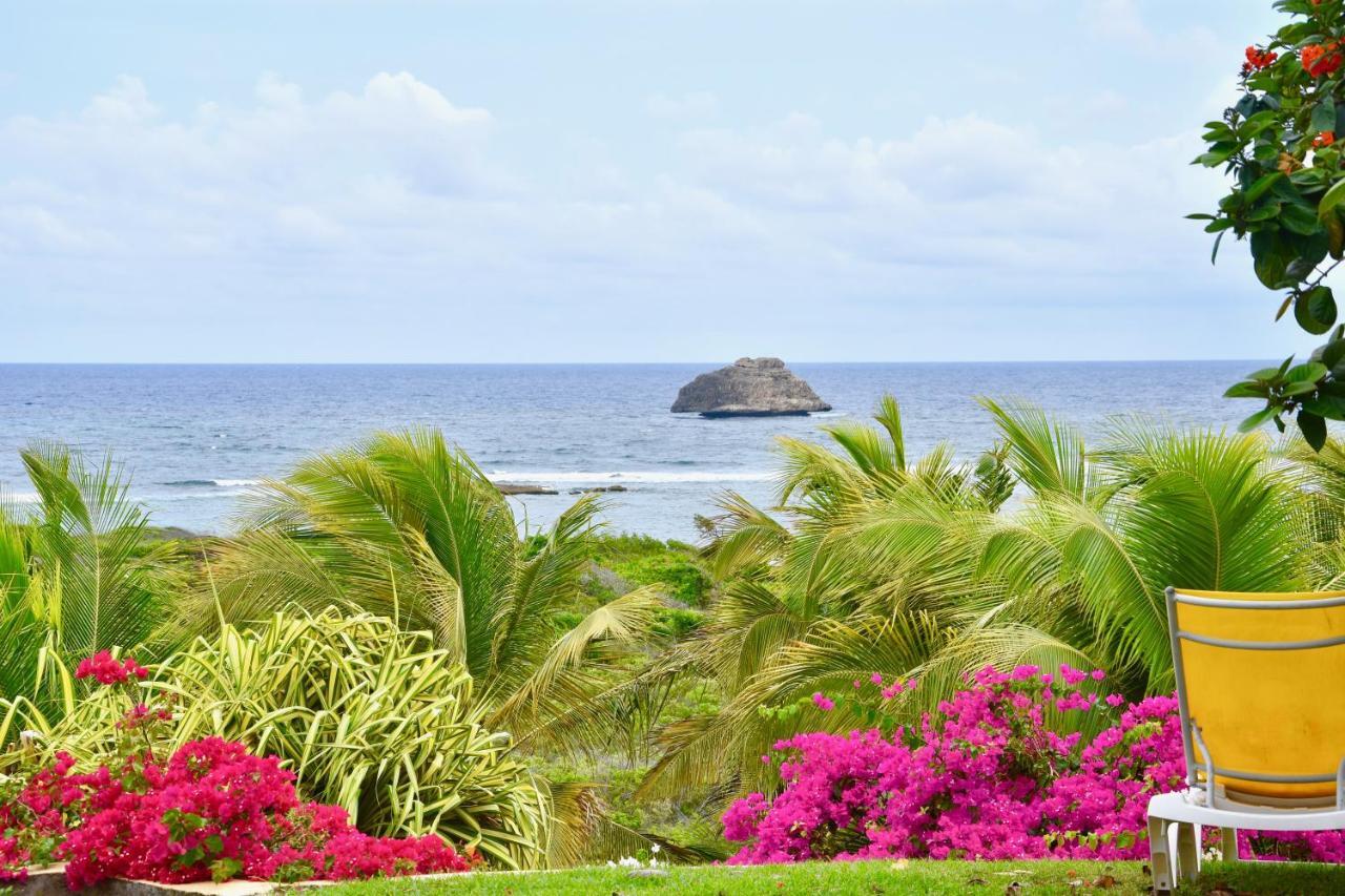 Villa Guadeloupe Saint Francois Acces Mer Piscine Iguana Bay - Villa Zagadi Exteriör bild