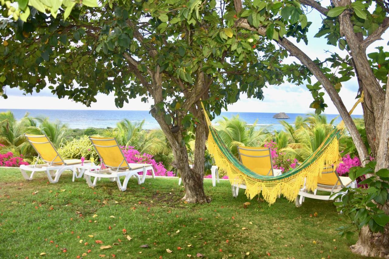 Villa Guadeloupe Saint Francois Acces Mer Piscine Iguana Bay - Villa Zagadi Exteriör bild