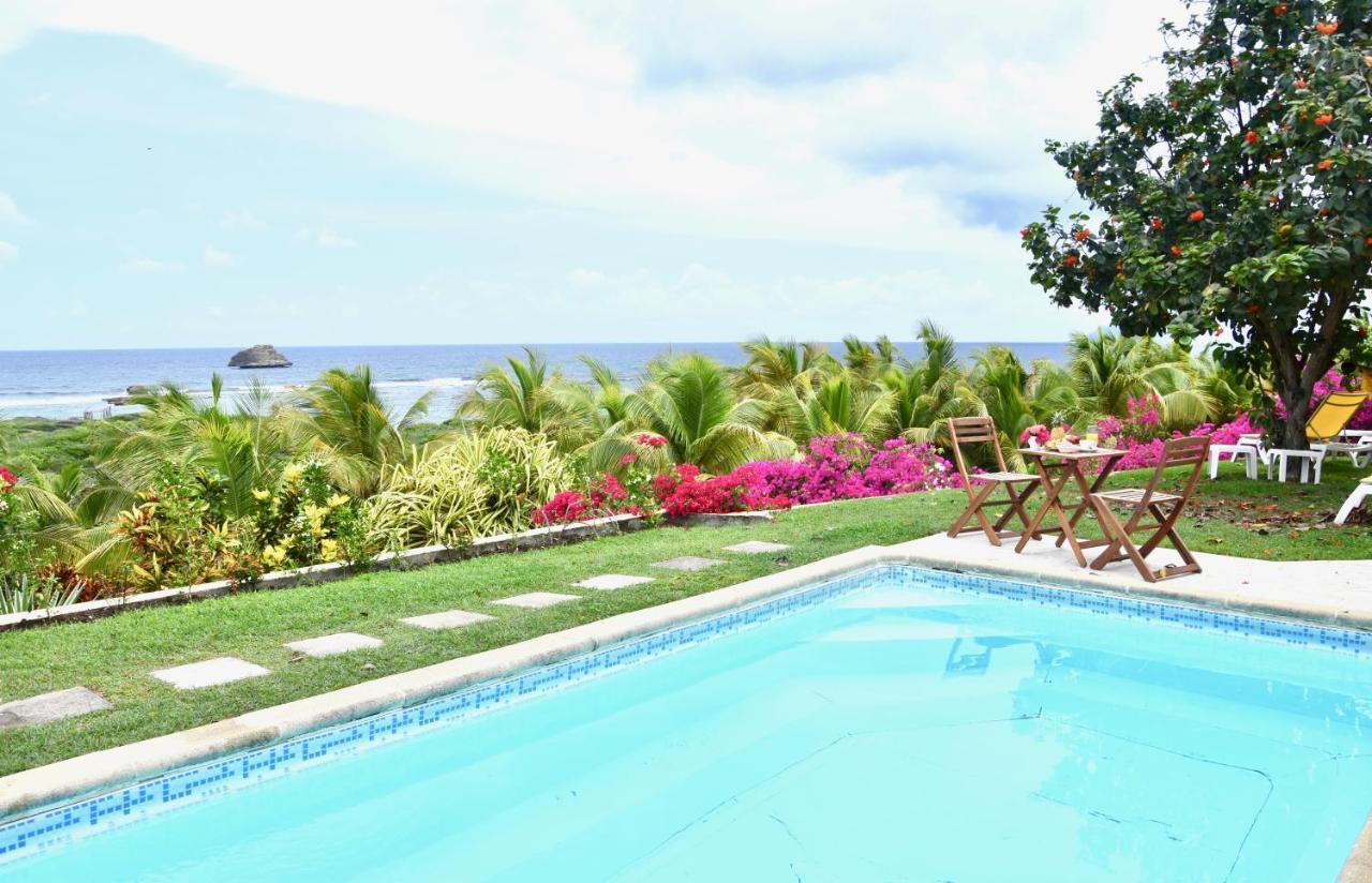 Villa Guadeloupe Saint Francois Acces Mer Piscine Iguana Bay - Villa Zagadi Exteriör bild