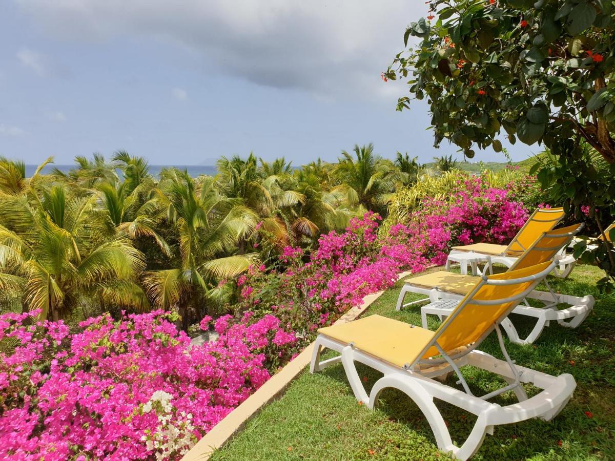 Villa Guadeloupe Saint Francois Acces Mer Piscine Iguana Bay - Villa Zagadi Exteriör bild