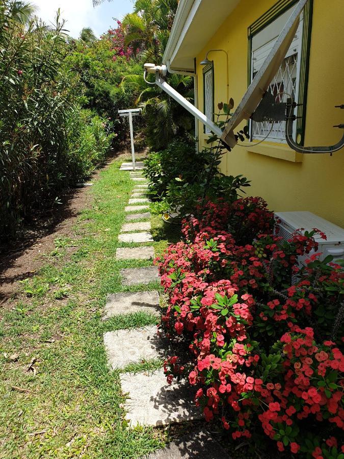 Villa Guadeloupe Saint Francois Acces Mer Piscine Iguana Bay - Villa Zagadi Exteriör bild