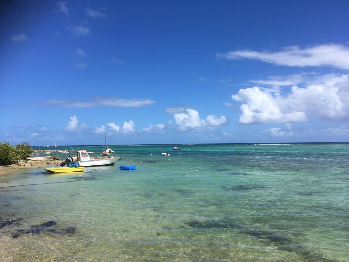 Villa Guadeloupe Saint Francois Acces Mer Piscine Iguana Bay - Villa Zagadi Exteriör bild