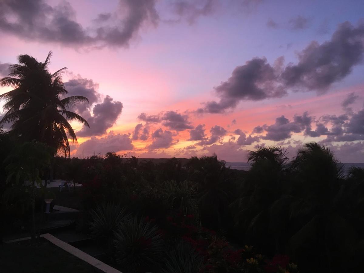 Villa Guadeloupe Saint Francois Acces Mer Piscine Iguana Bay - Villa Zagadi Exteriör bild
